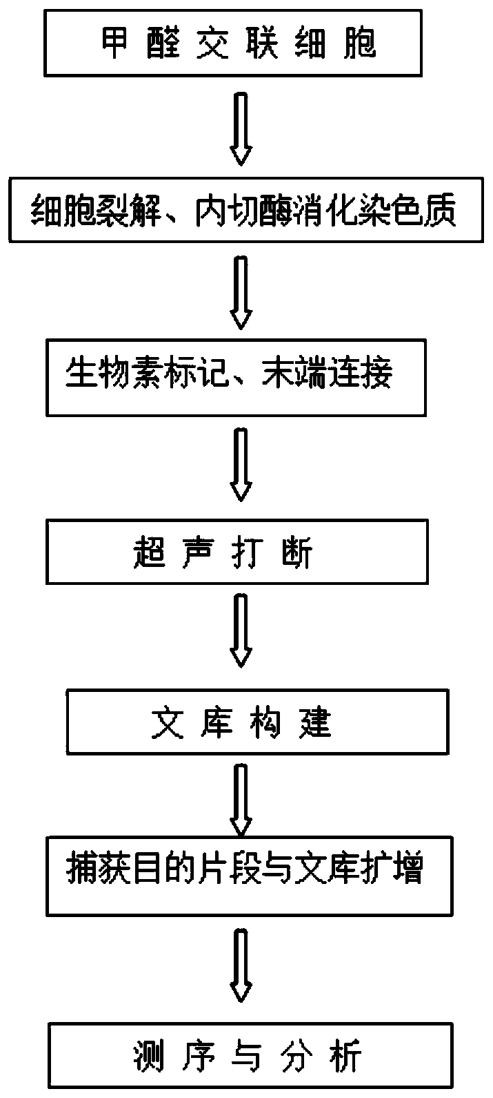 Hi-C high-throughput sequencing library building method suitable for watermifoil