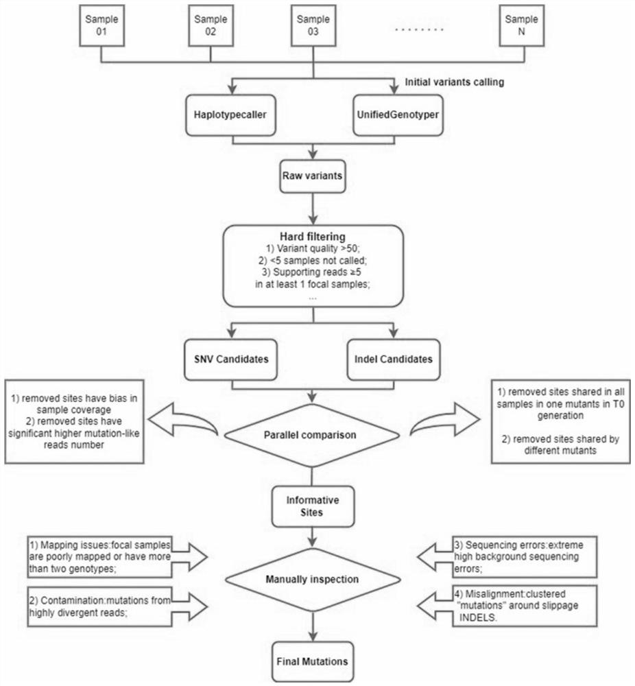 Method for detecting somatic mutation in plant genome