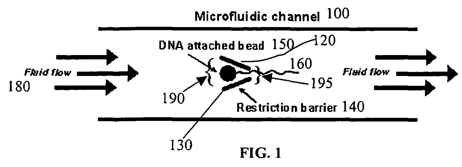 Microfluidic apparatus, Raman spectroscopy systems, and methods for performing molecular reactions
