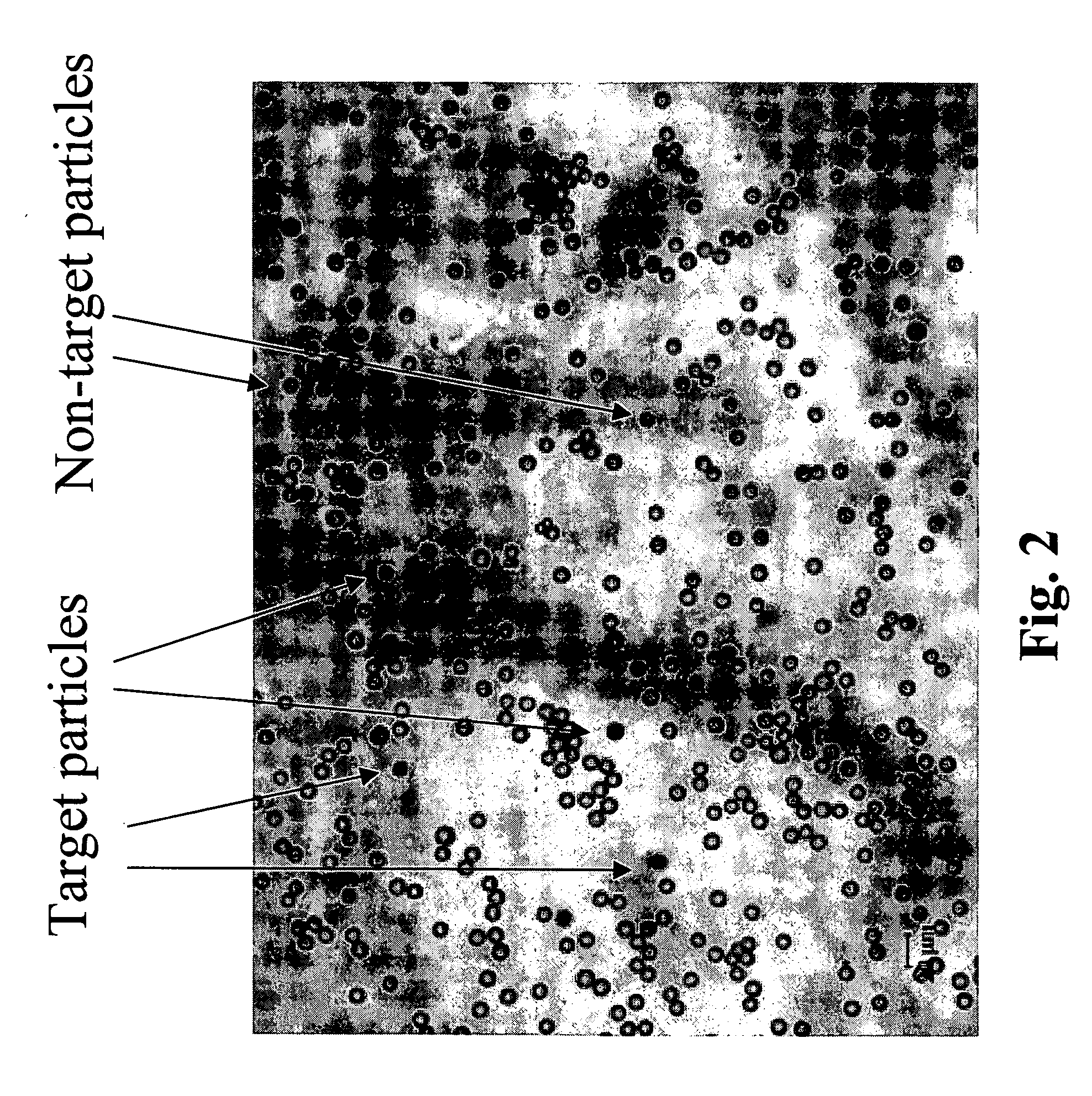 Method and system for sorting and separating particles