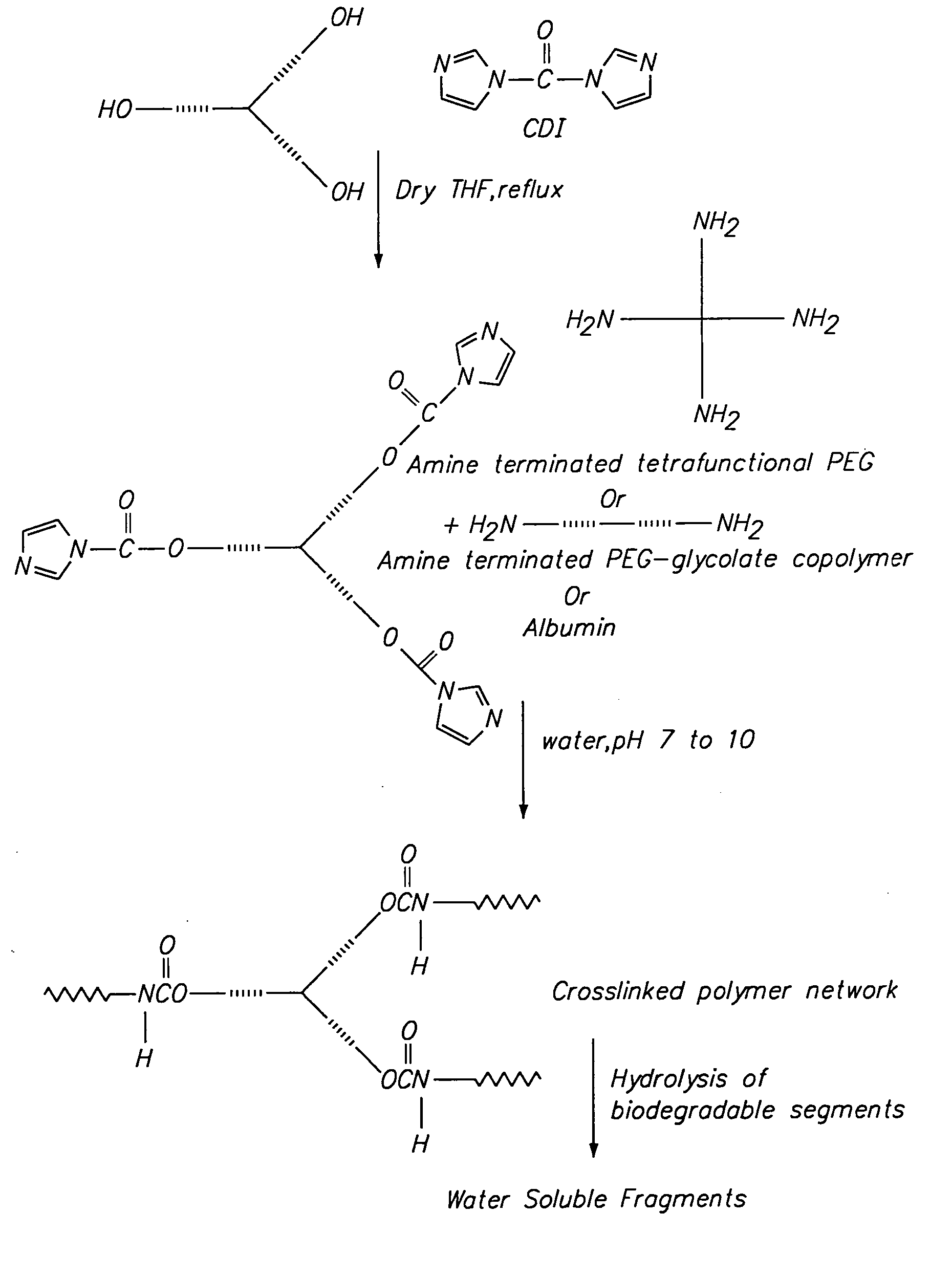 Biocompatible polymers and hydrogels and methods of use