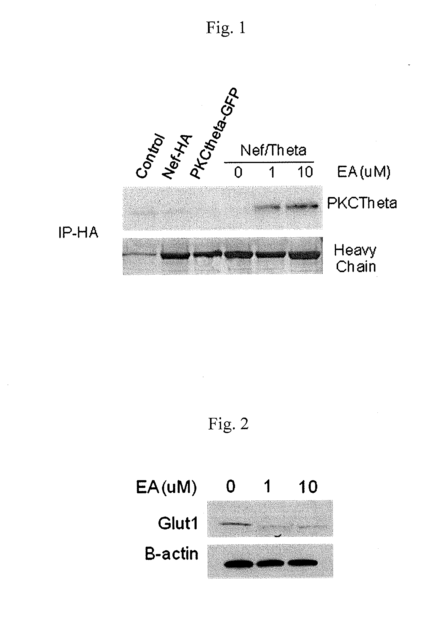 Methods of treating patients infected with HIV and htlv