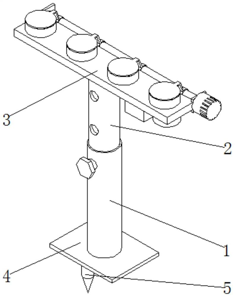 Tropical rainforest mold collecting device