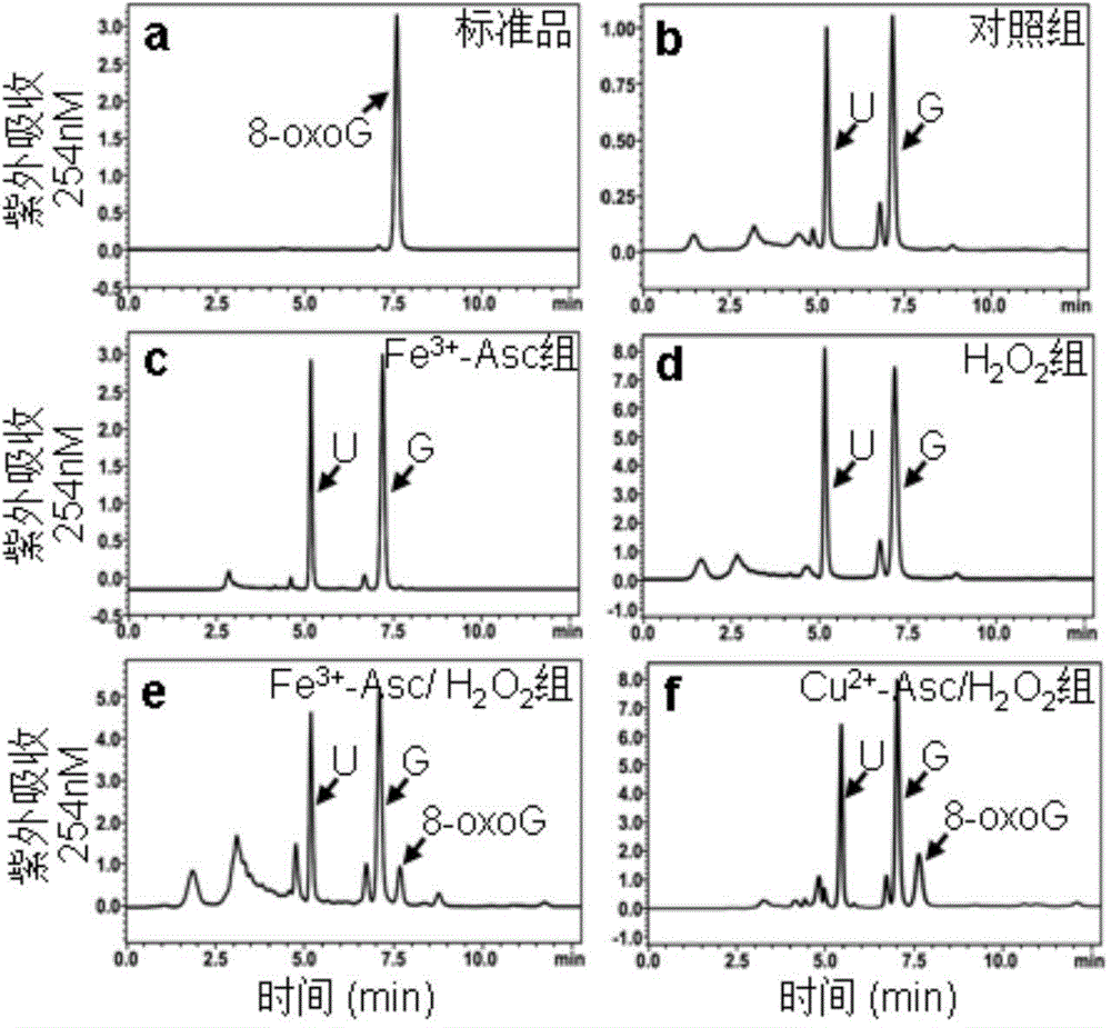 Method for attacking miRNAs through free radicals to cause oxidative damage to RNAs