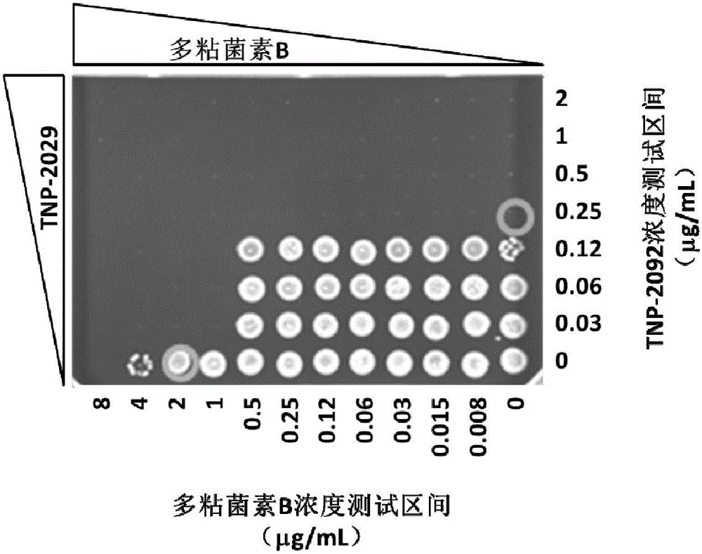Antibacterial drug composition for treating Gram-negative bacterial infections