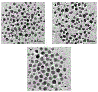 Preparation method of a photosensitive nanocomposite supramolecular hydrogel