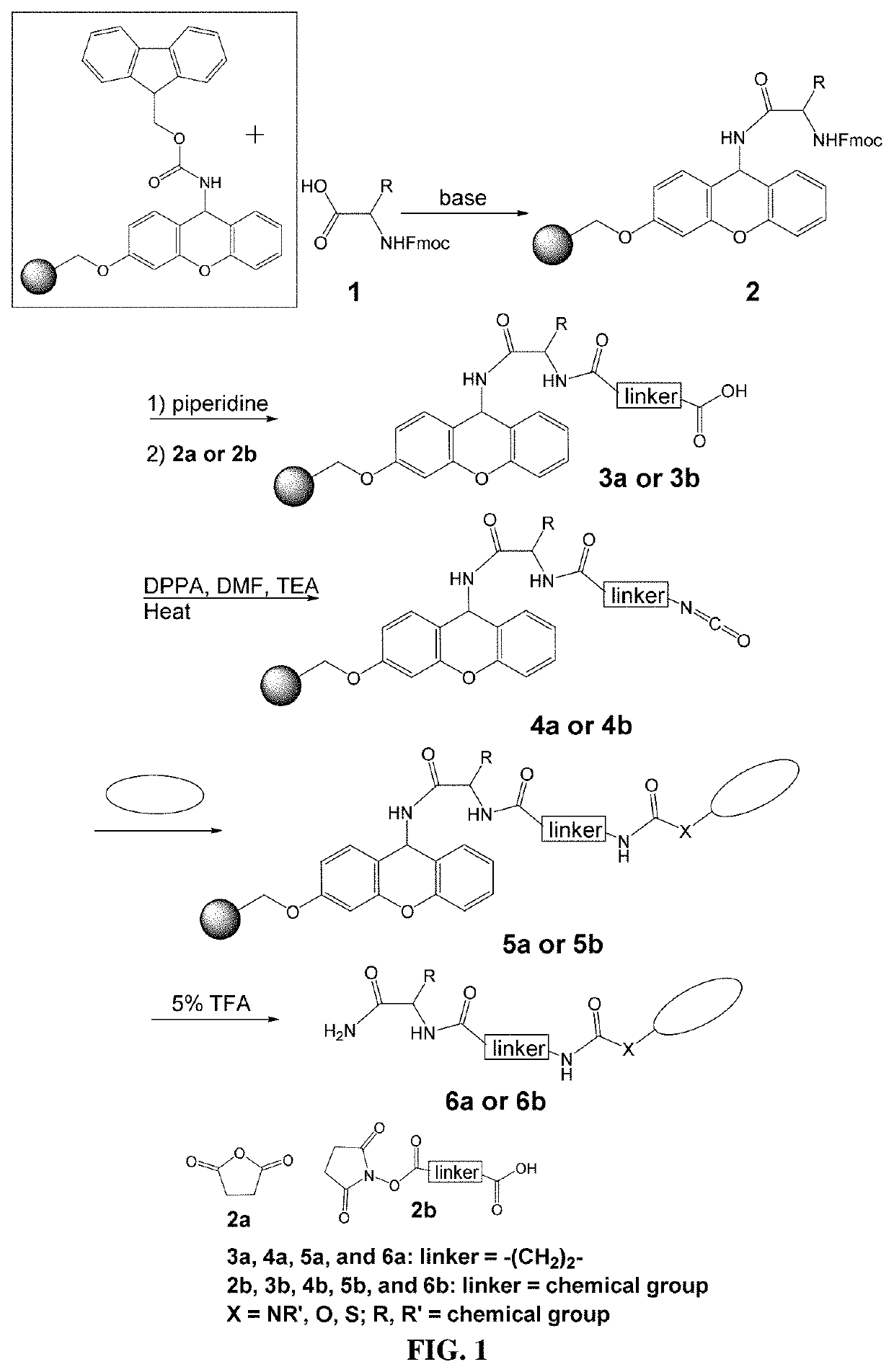 High-throughput method to rapidly add chemical moieties to a small molecule library