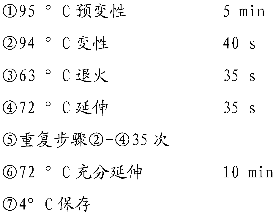 hybrid yellow catfish ch  <sub>4</sub> Enzyme digestion method