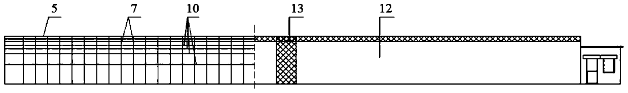 A high-yield and high-efficiency cultivation method for figs in a greenhouse