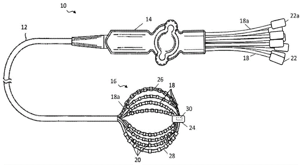 Basket catheter with individual spine control