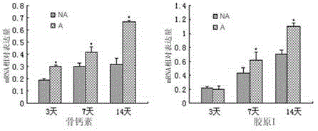 Expansion in vitro purification culture method of mesenchymal stem cells and culture medium