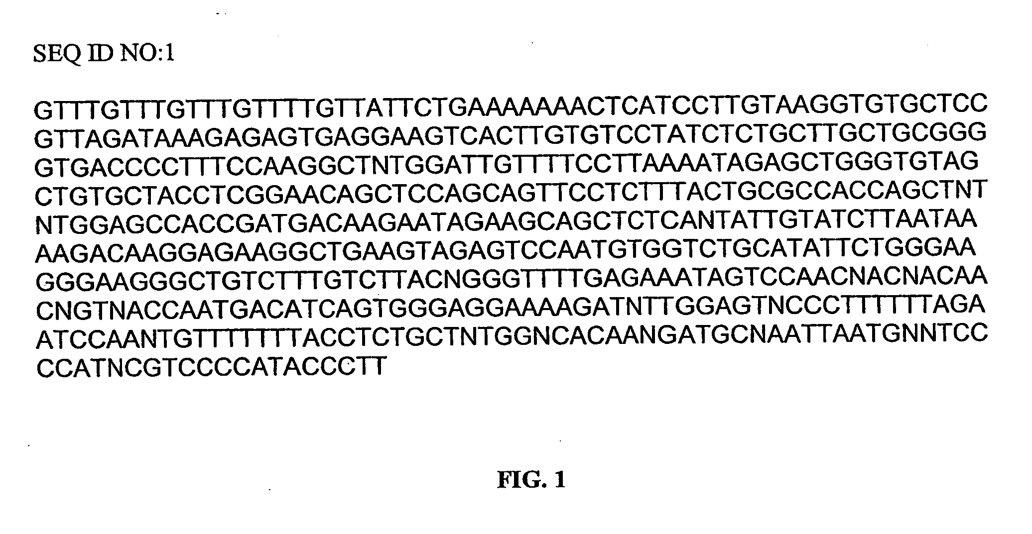 Mammalian genes involved in rapamycin resistance and tumorgenesis annexin XIII genes