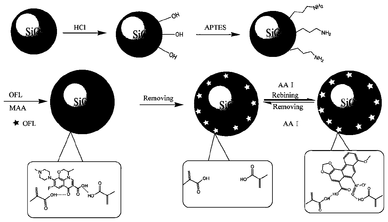 Method for Enrichment and Detection of Trace Aristolochic Acid A from Longdan Xiegan Pills
