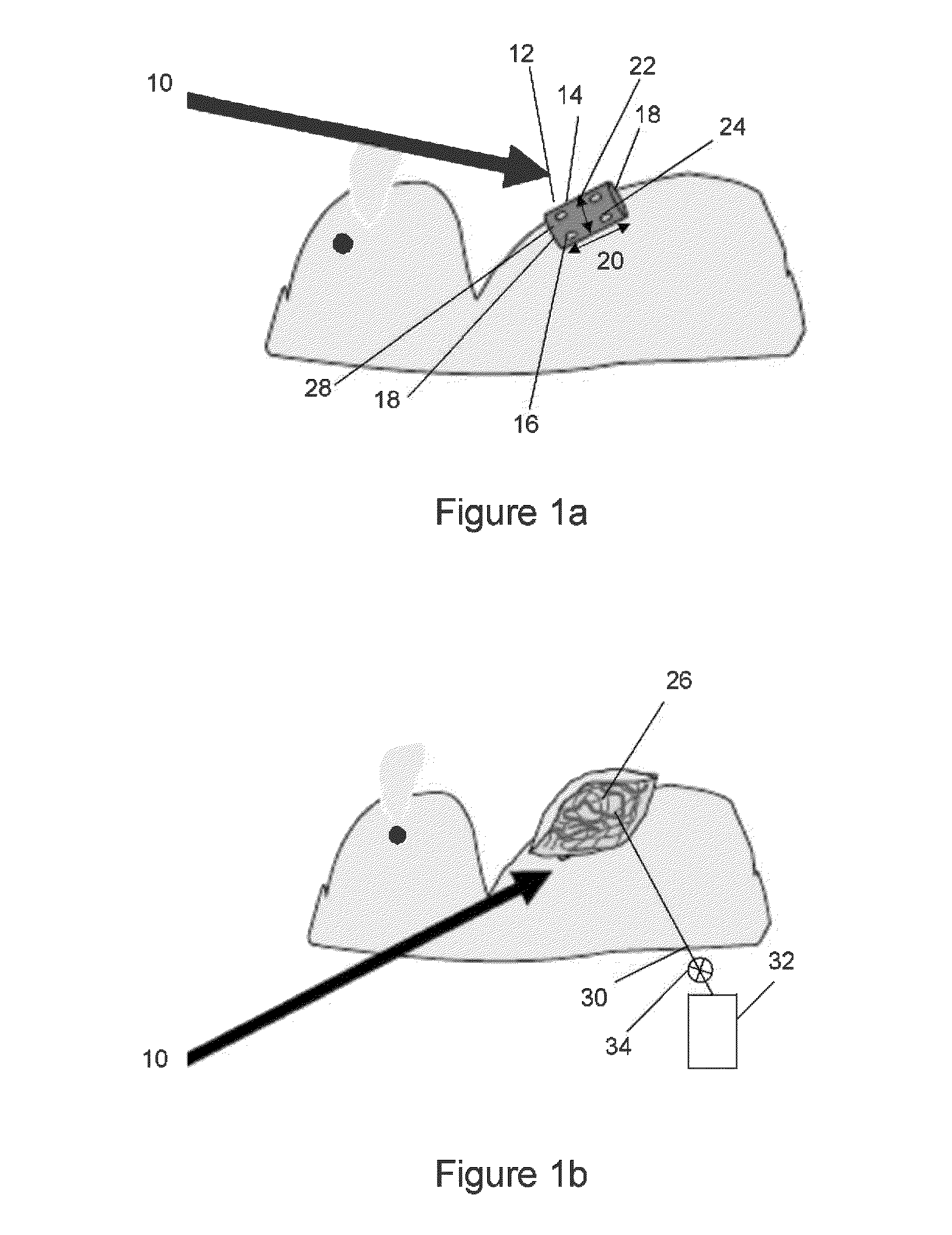 Fluid associated with adult stem cells for medical, cosmetic, and veterinary use