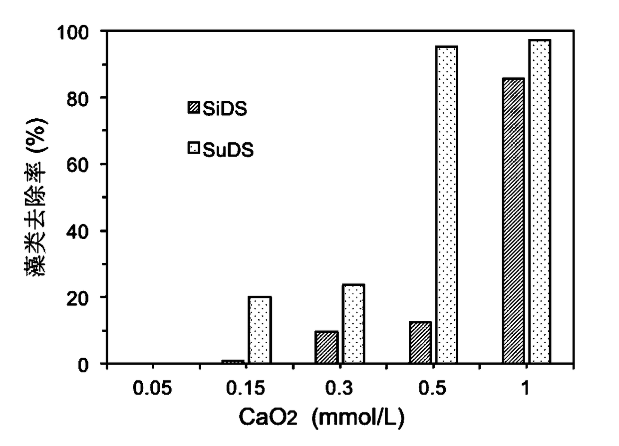 Method for disposing water containing massive algae on basis of calcium-peroxide-enhanced coagulation