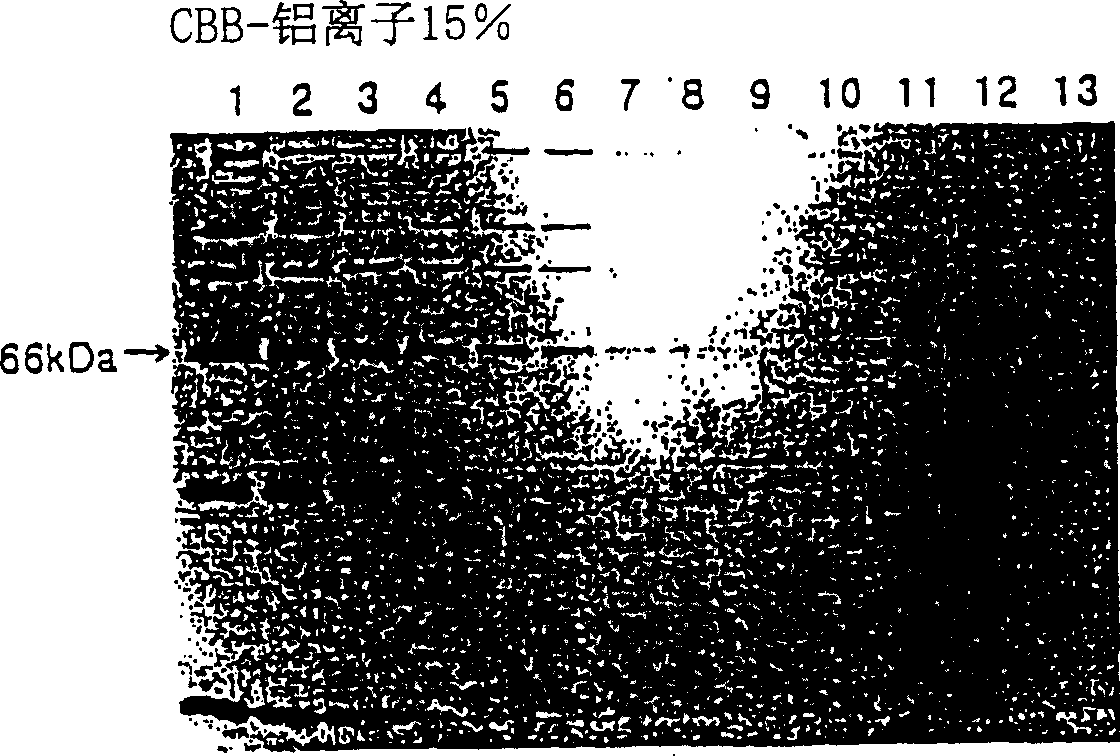 Treating solution containing aluminium ion for staining protein and staining method using the same