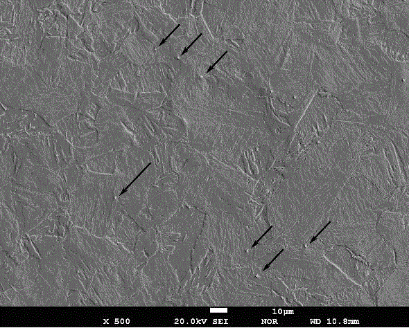 A Casting and Rolling Method for Eliminating Delta Ferrite in Maraging Stainless Steel Strip