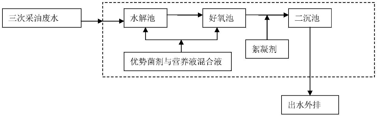 Method for treating tertiary oil recovery wastewater by combining efficient dominant bacteria and flocculent precipitate