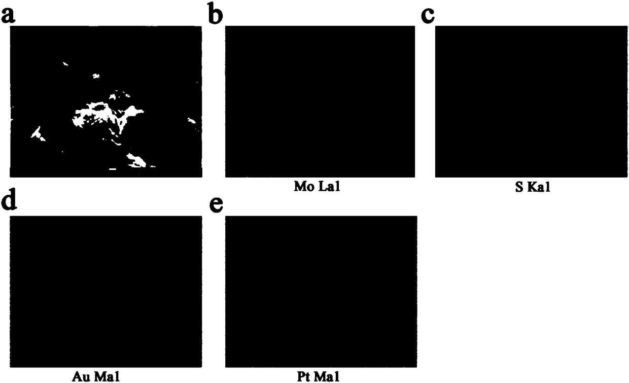 Electrochemical immunosensor used for CLB detection, and preparation method thereof