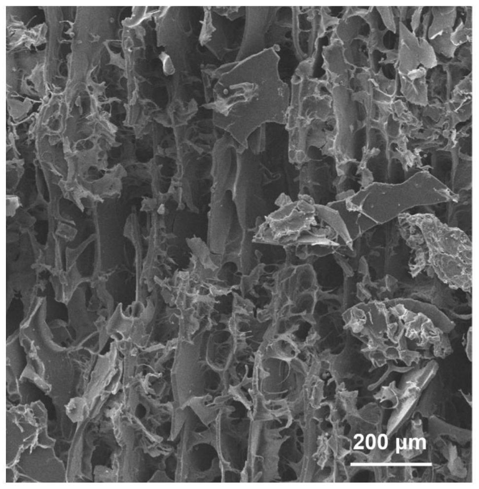 bone-regeneration-multiple-bionic-scaffold-material-and-preparation