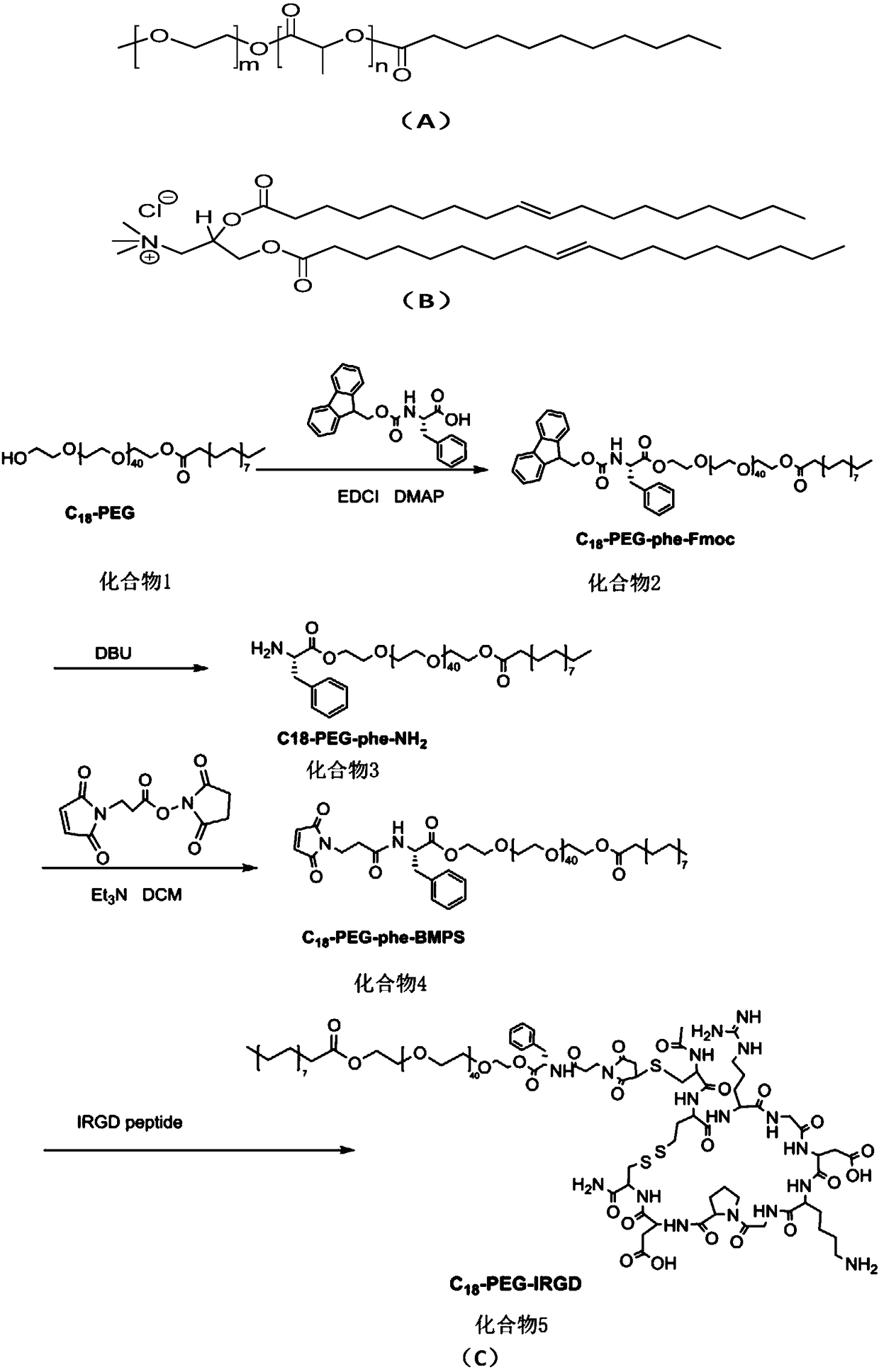 CP-iRGD polypeptide, iDPP nanoparticles, and drug-loading complex, preparation method and applications thereof