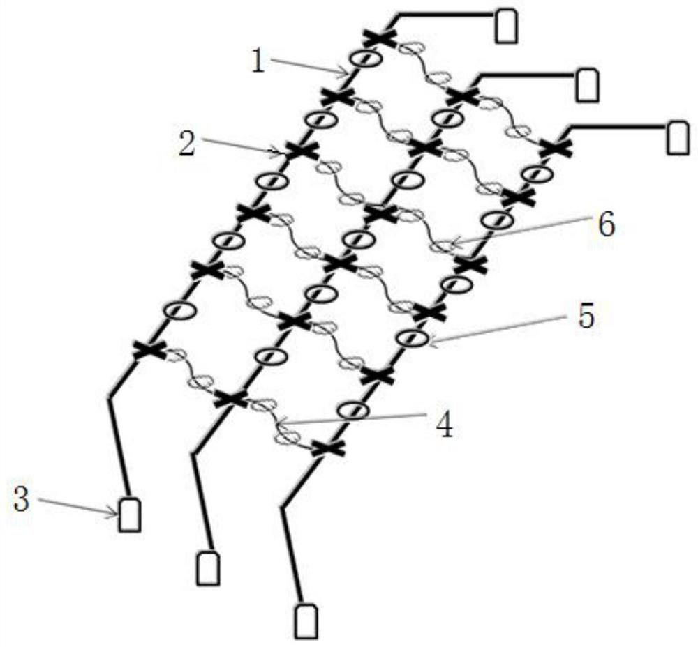 Gracilaria lemaneiformis culture method capable of avoiding culture diseases and preferably selecting low-temperature-resistant seedlings