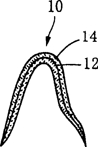 Process for producing dental prosthesis and kit for use therein
