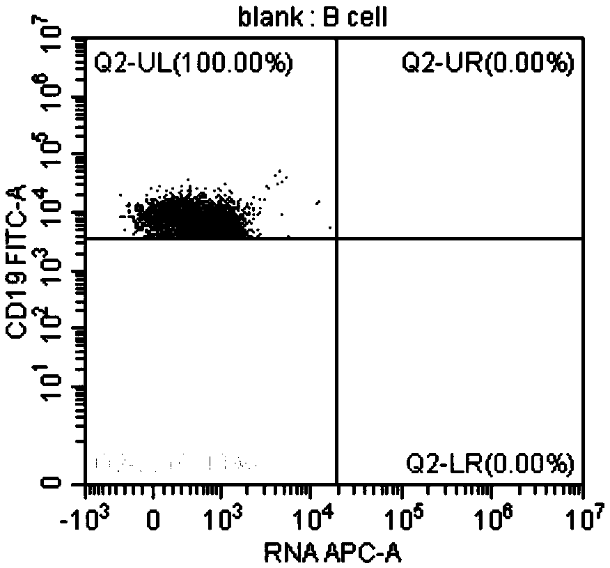 Method for identifying lymphocyte subpopulations infected by EB (epstein-barr) virus and proportion of injected cells in lymphocyte subpopulations and application of method