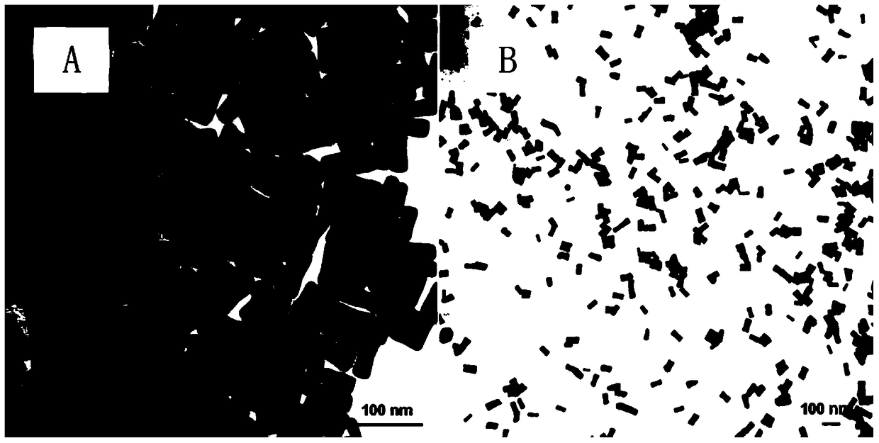 An accelerator capable of improving the functionalization process of adoptive dendritic cells and its preparation method and application