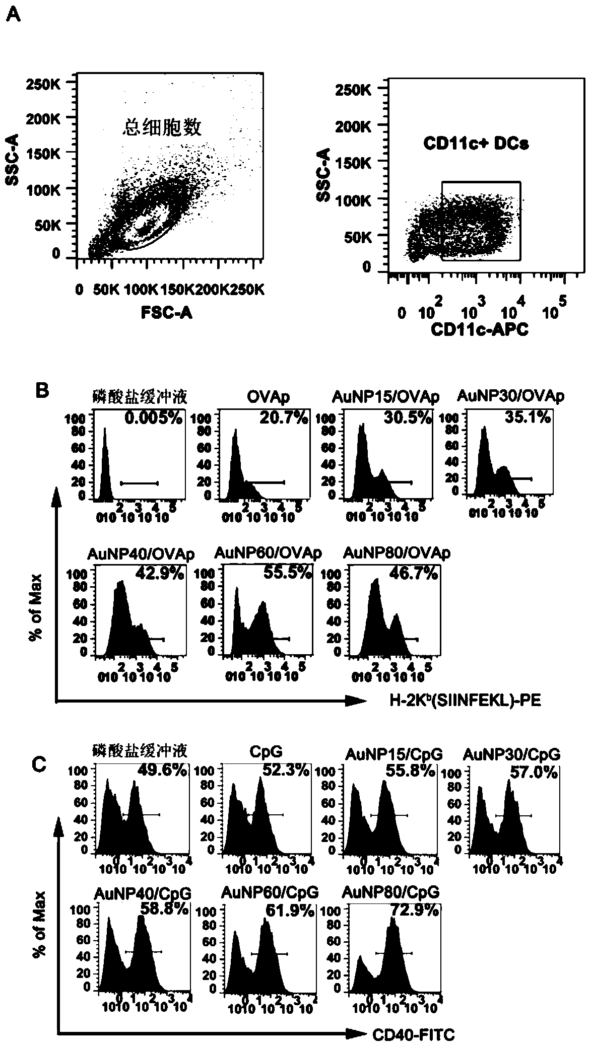 An accelerator capable of improving the functionalization process of adoptive dendritic cells and its preparation method and application