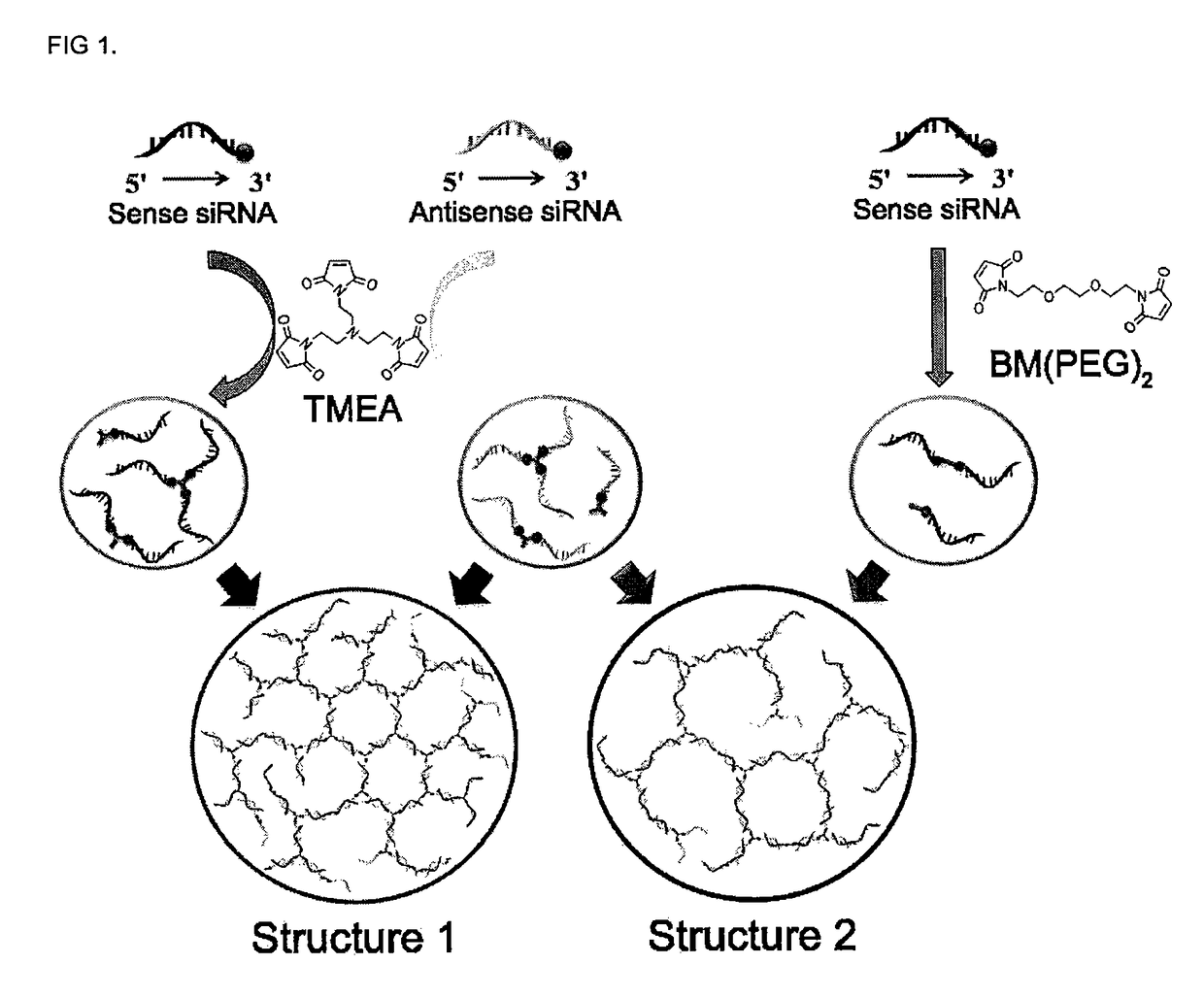 SiRNA hydrogel and method for manufacturing the same