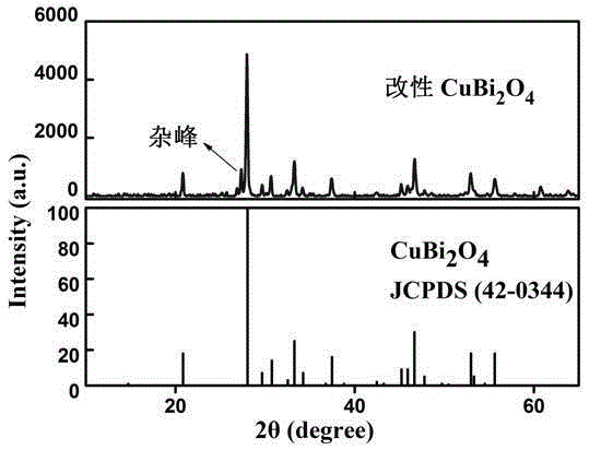 Modified copper bismuthate photocatalyst and preparation method thereof