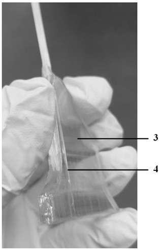 Method for growing (100) crystal face beta-phase gallium oxide single crystal by seed crystal deflection angle edge-defined film-fed crystal growth method