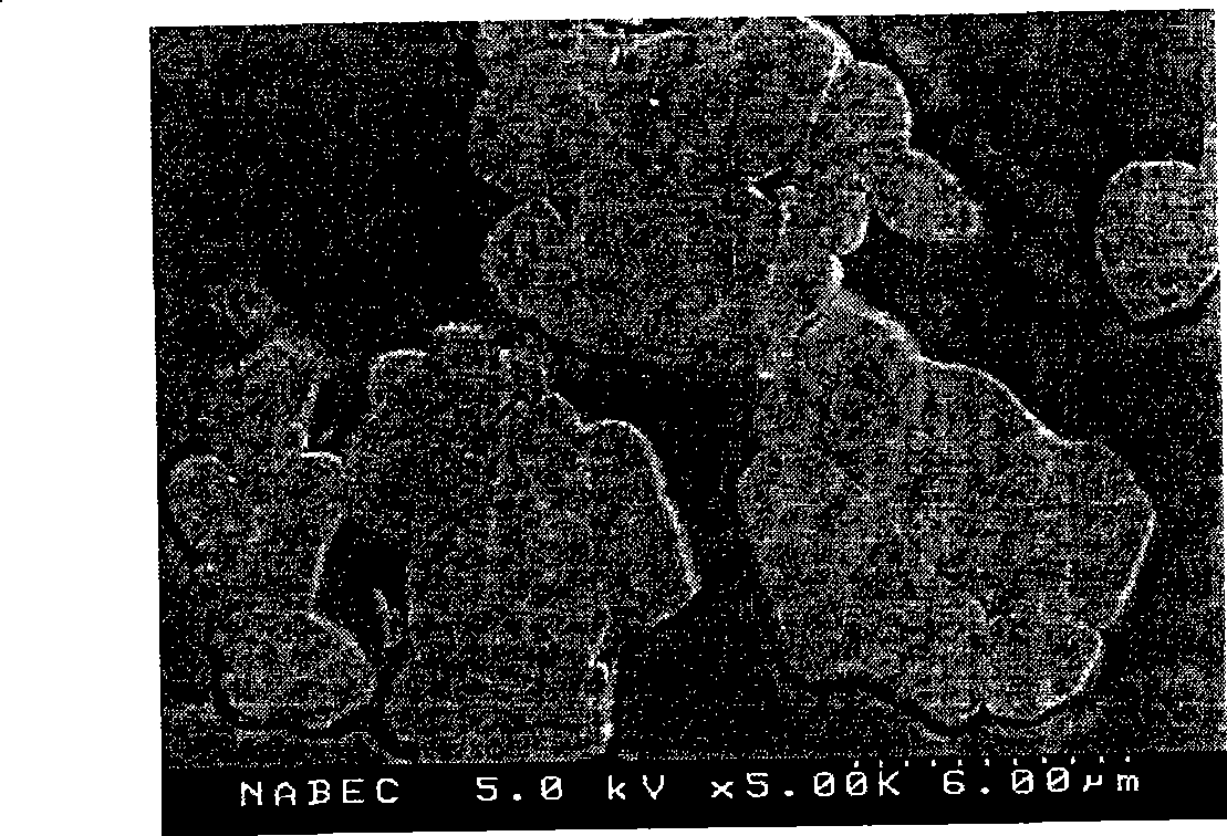 Positive electrode active material for nonaqueous electrolyte secondary battery and nonaqueous electrolyte secondary battery