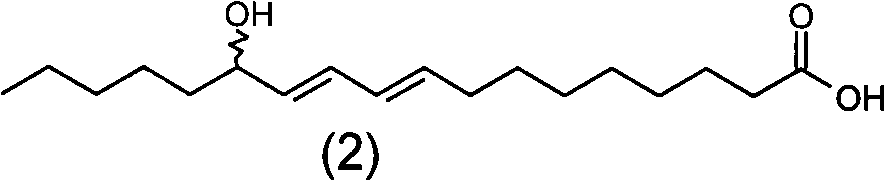 Monohydroxy conjugated linoleic acid, preparation method and application thereof