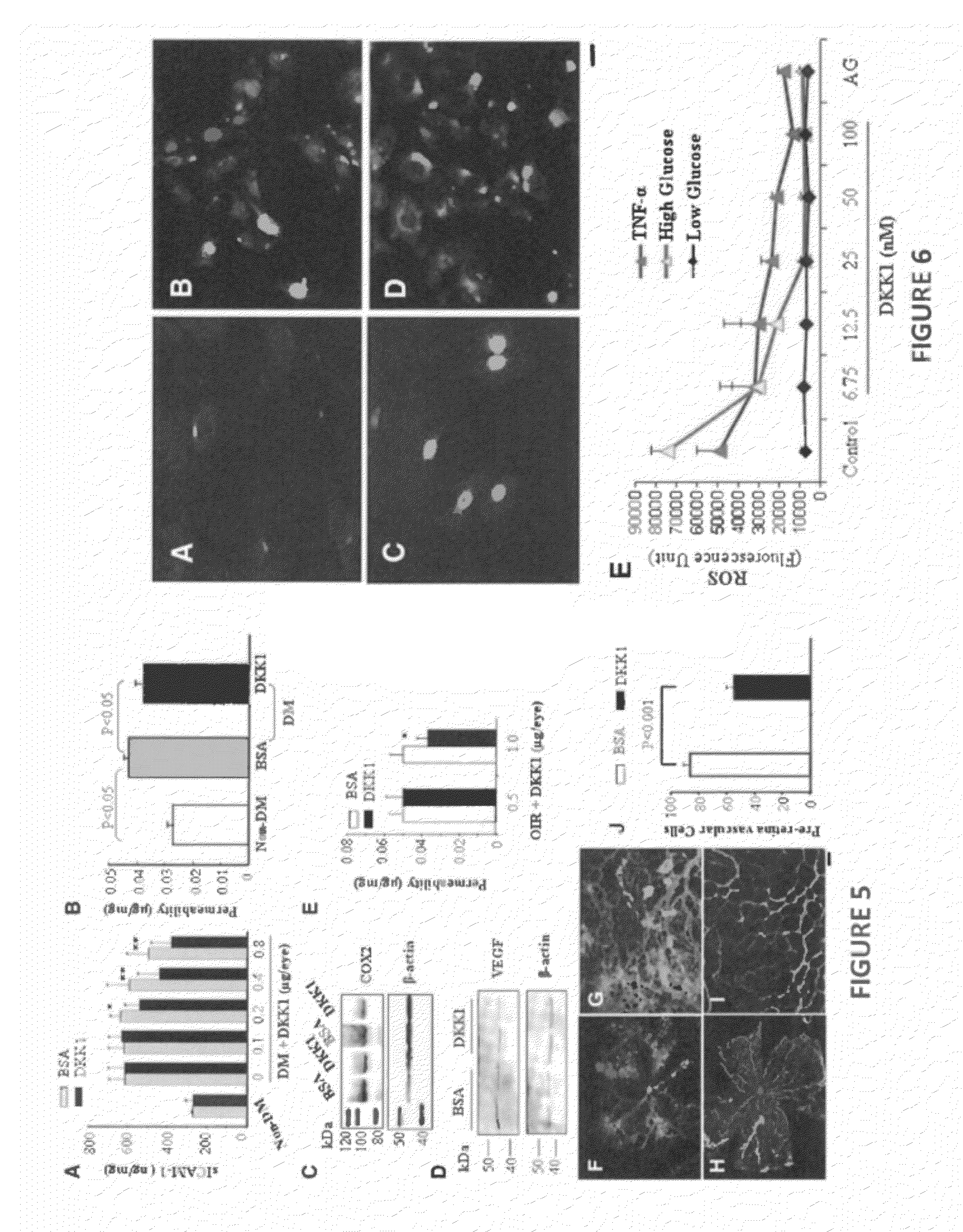 MONOCLONAL ANTIBODIES THAT INHIBIT THE Wnt SIGNALING PATHWAY AND METHODS OF PRODUCTION AND USE THEREOF