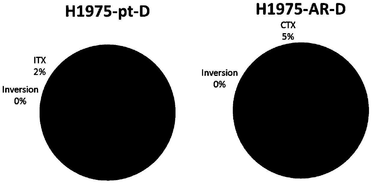 Osimertinib drug-resistant cell line NCI-H1975/AR and application thereof