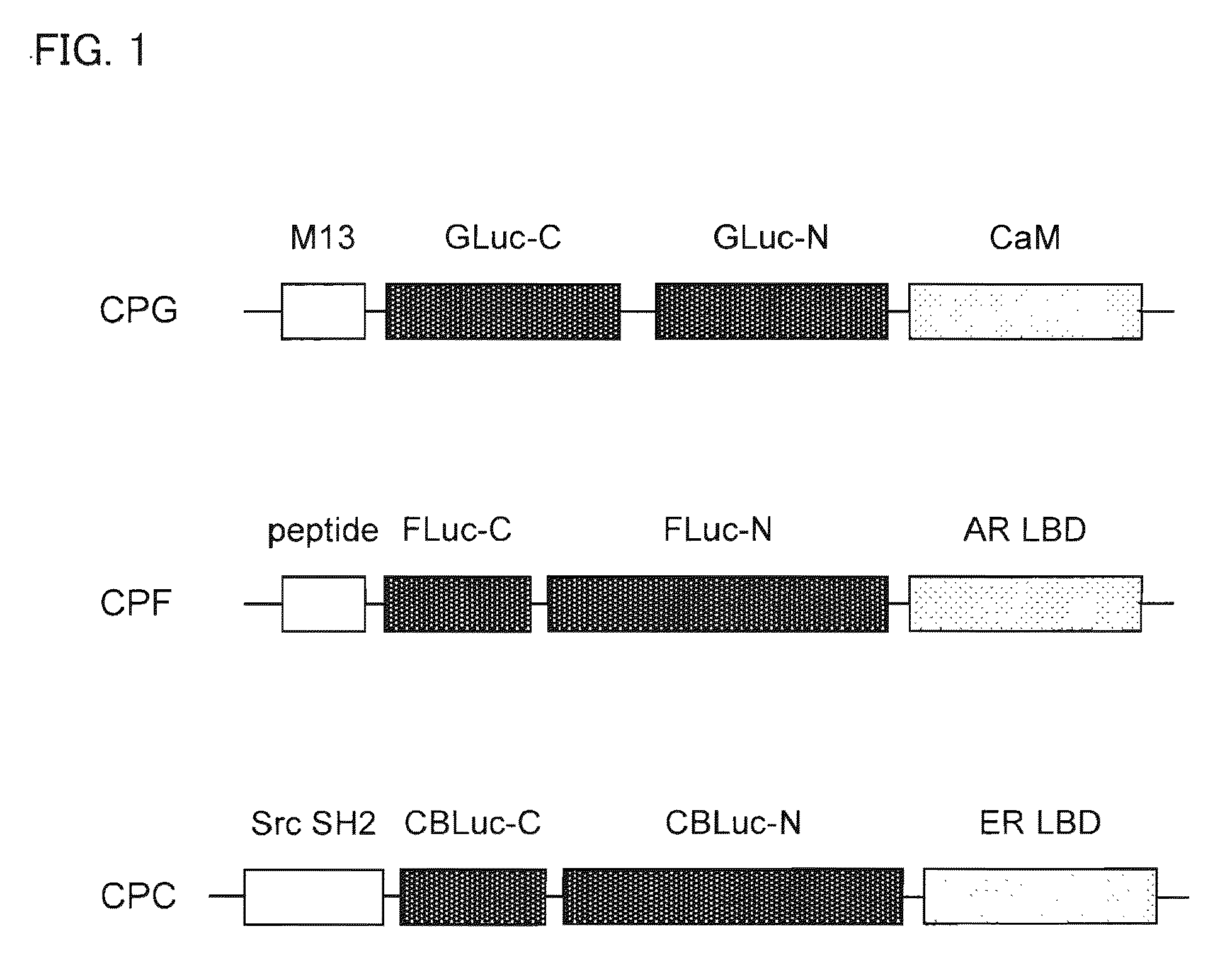 Single-Molecule-Format Probe And Utilization Thereof
