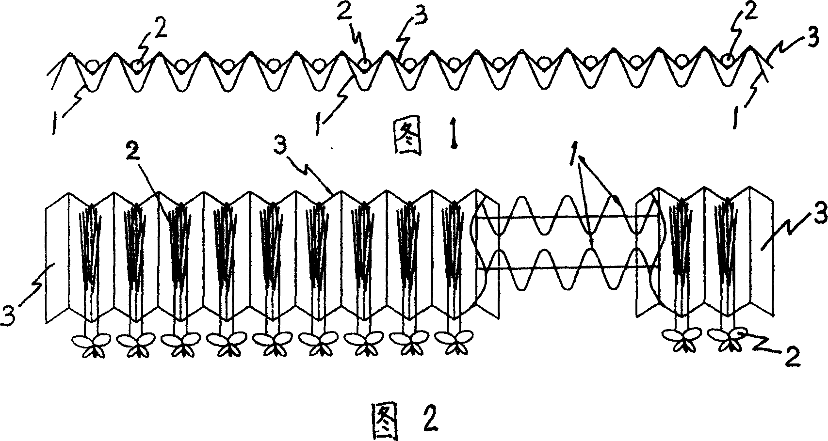 Seedling protecting and transplanting method by using corrugated paper