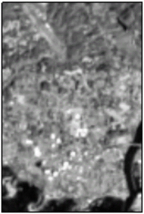 Multi-temporal hyper-spectral image classification method based on spatial-spectral feature preserving global geometric structure