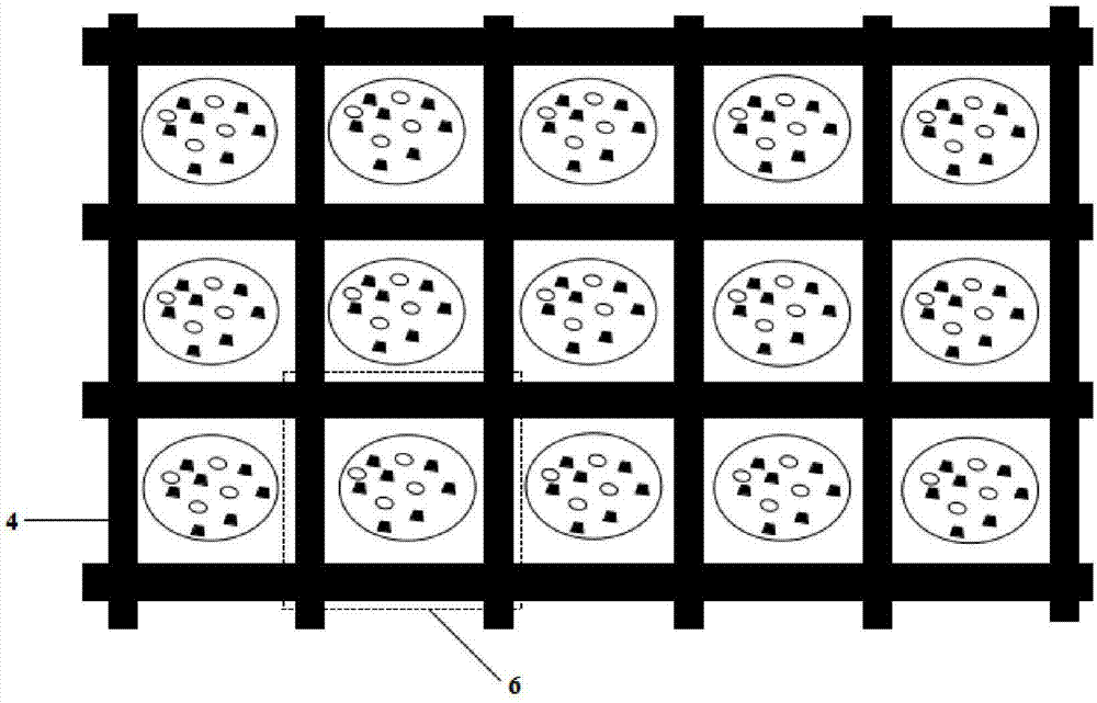 Plasmon random laser array device based on two-dimensional material
