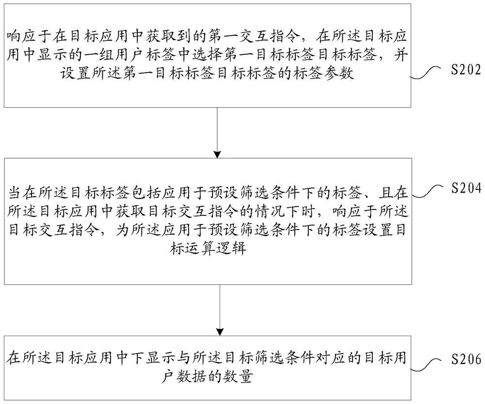User data display method and device, storage medium and electronic equipment
