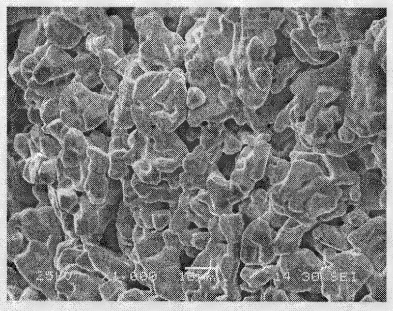 Porous tantalum serving as medical metal implanted material and preparation method thereof