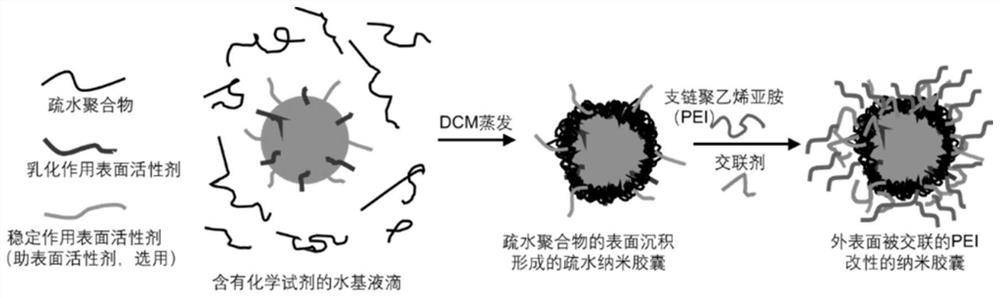 Delivery-controllable and release-controllable nanocapsule gel breaker as well as preparation method and application thereof