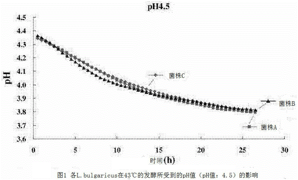 Fermented milk that does not undergo increase in acid level, and method for producing same