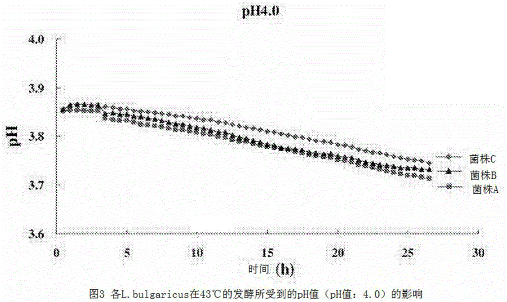 Fermented milk that does not undergo increase in acid level, and method for producing same