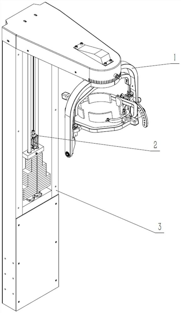 Cervical vertebrae assessment and rehabilitation device