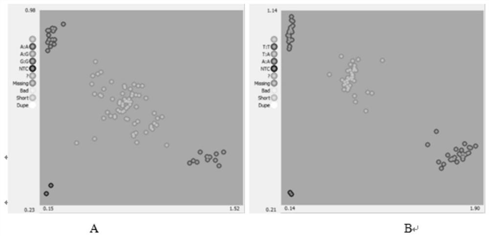 KASP primer combination for constructing DNA finger print library of grape and application