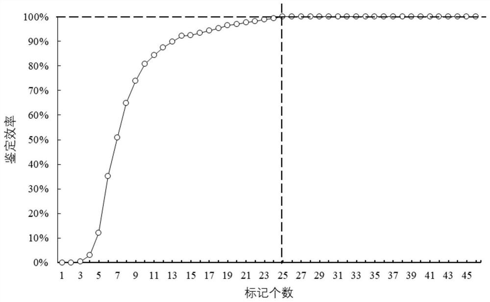 KASP primer combination for constructing DNA finger print library of grape and application