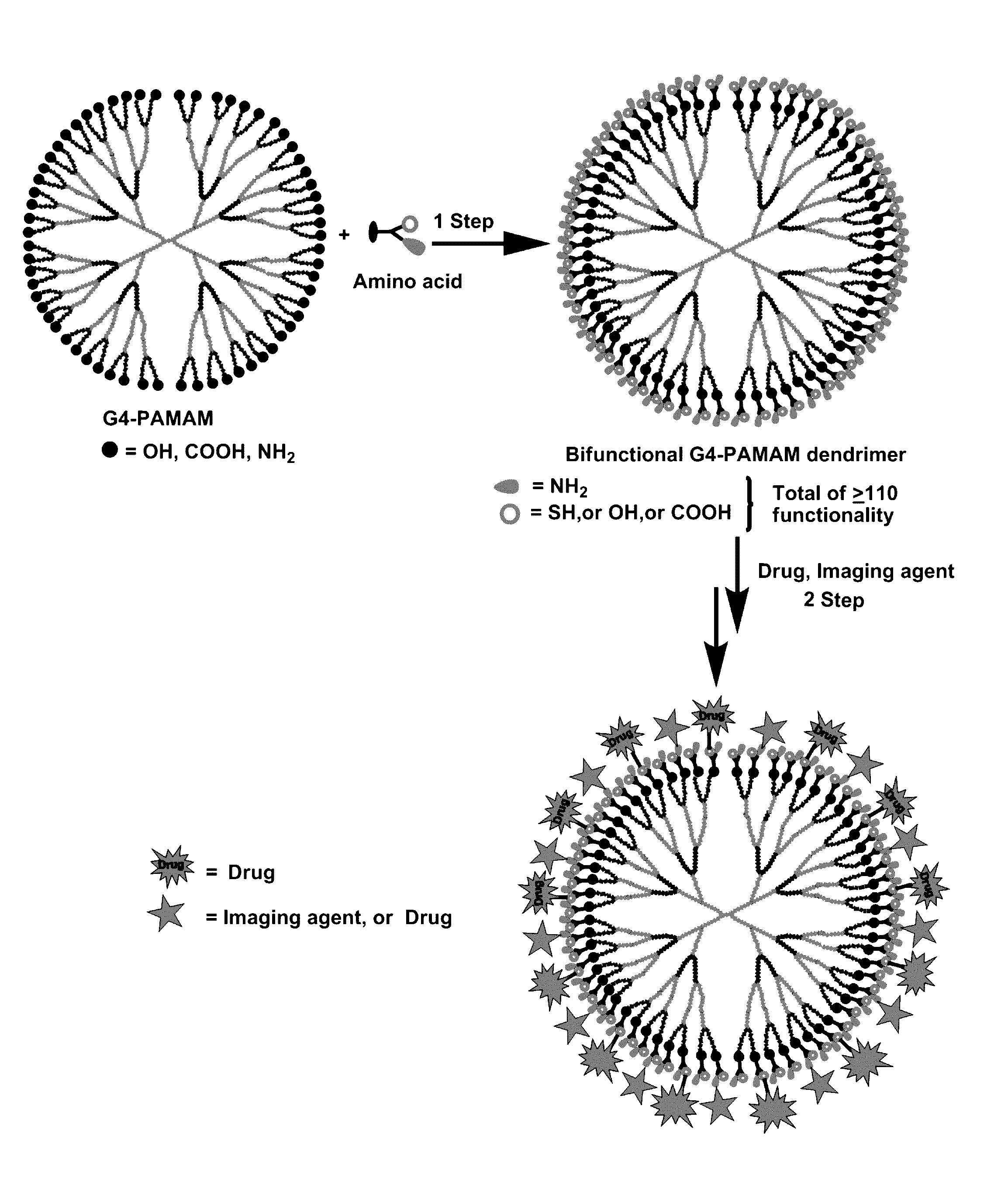 Injectable dendrimer hydrogel nanoparticles